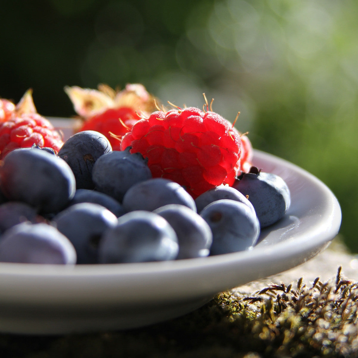 The Hidden Benefits Of Fiber